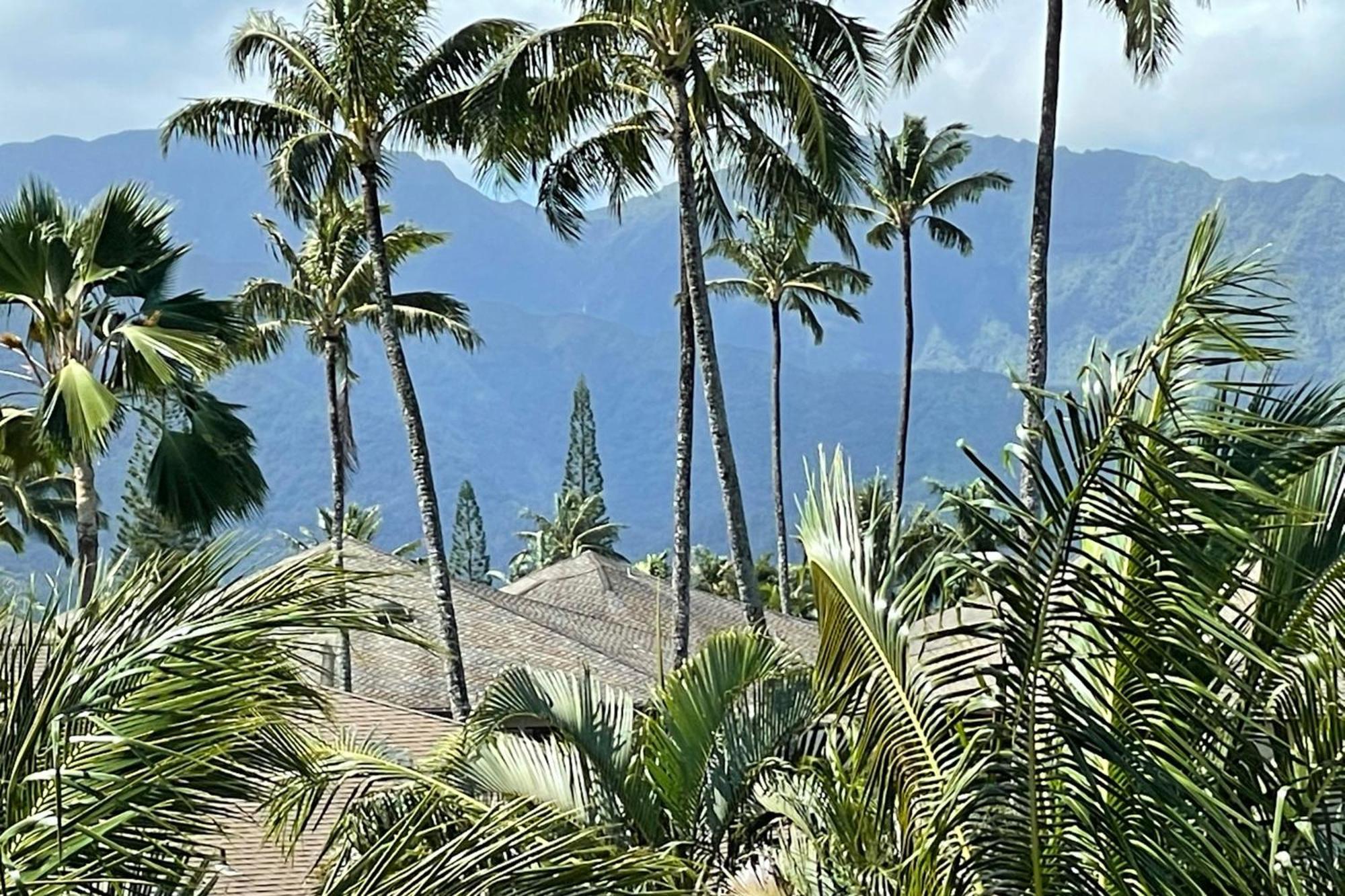 View House Tower! Villa Princeville Exterior photo
