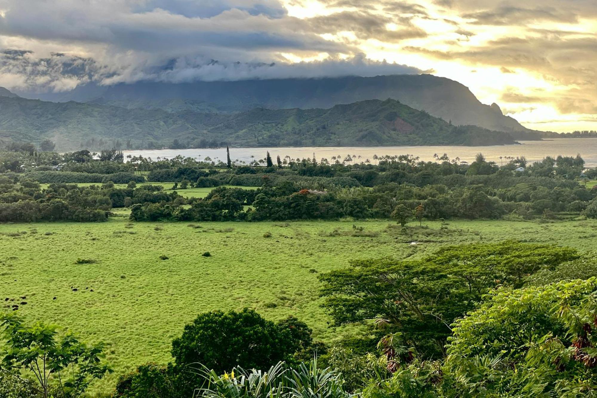 View House Tower! Villa Princeville Exterior photo
